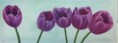 /album/oil-painting-bob-ross-technology-R-1/bob-ross-oil-painting-23-jpg1/